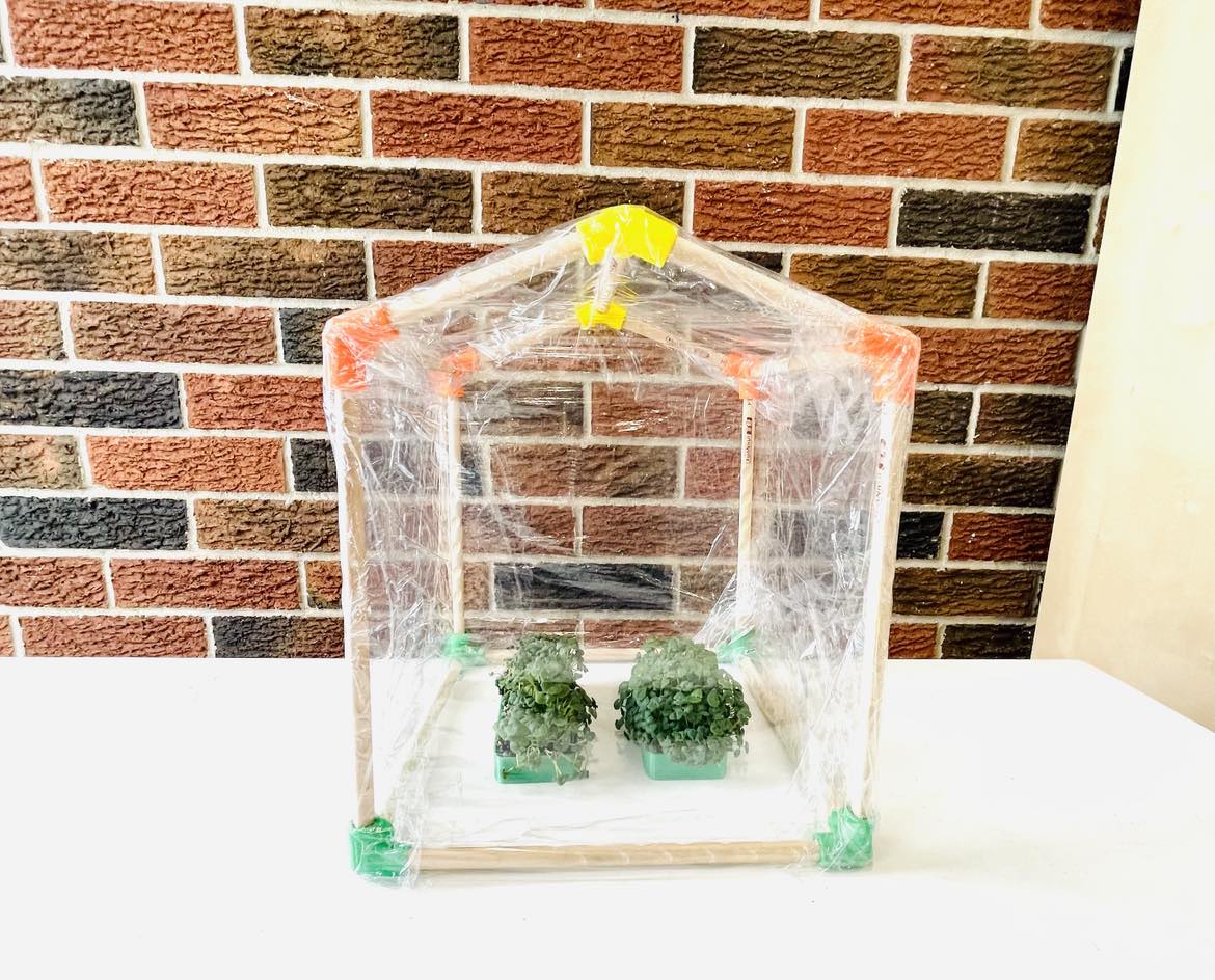 DIY Mini Greenhouse Kit, Chia Seed Garden