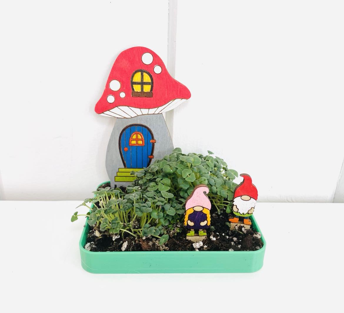 DIY Mini Gnome Garden, Chia Seed Garden