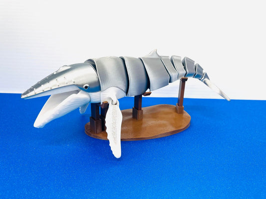 3D Printed Articulated Humpback Whale with Display Stand