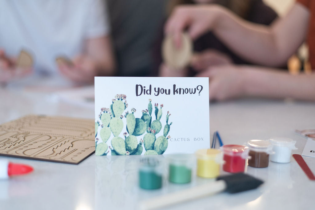 DIY 3D Cactus Garden Kit