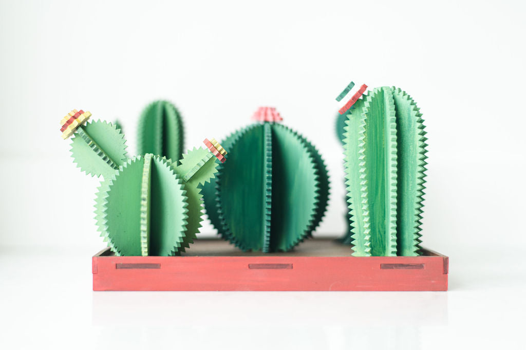 DIY 3D Cactus Garden Kit