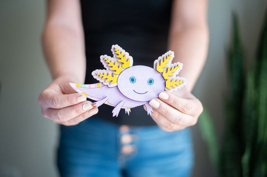 DIY Axolotl Paint Kit