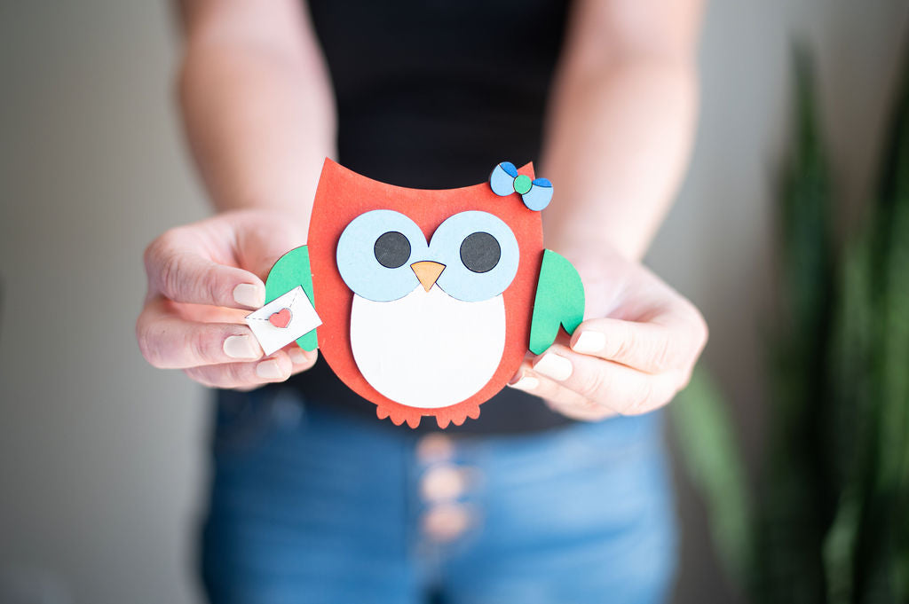 DIY Owl Paint Kit