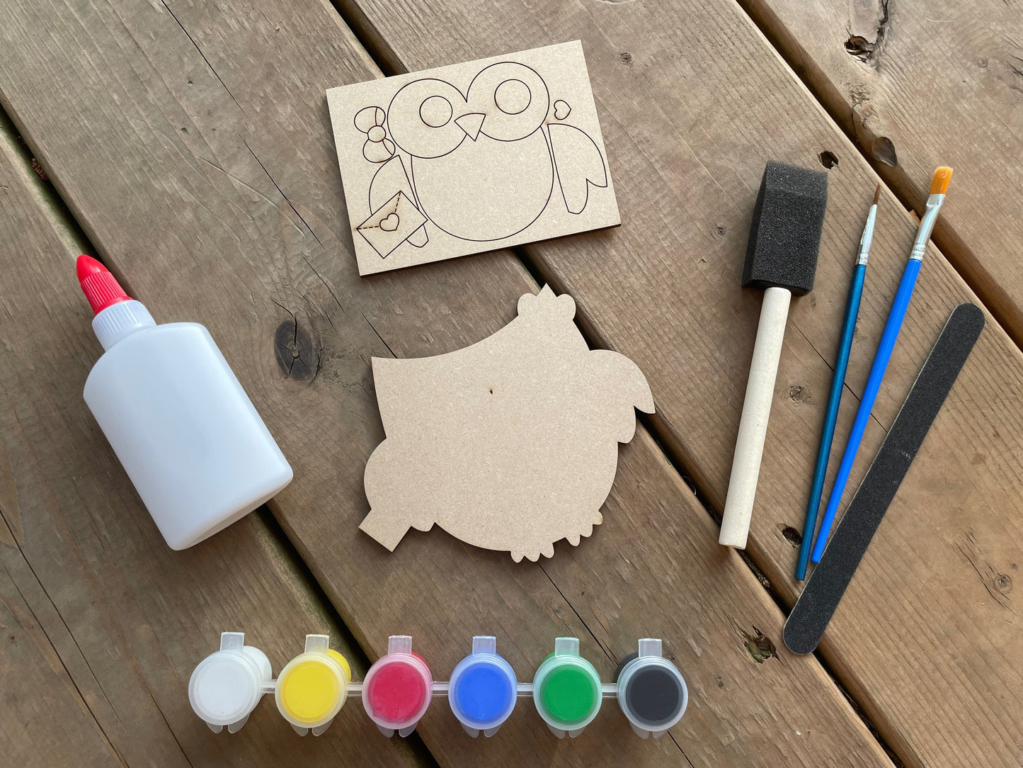 DIY Owl Paint Kit