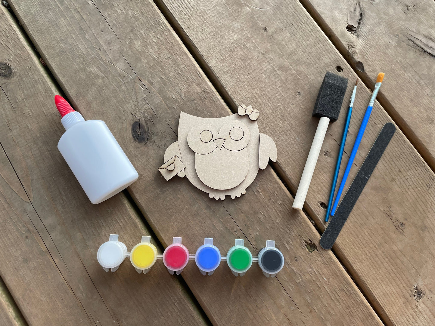 DIY Owl Paint Kit