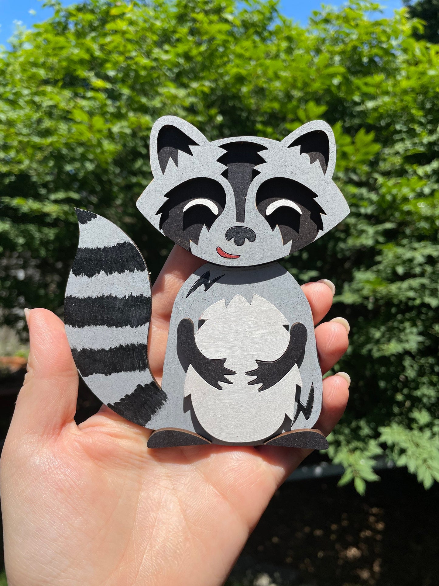 DIY Raccoon Paint Kit