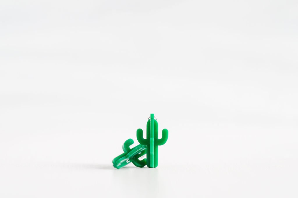 3D Cactus Succulent Funny Earrings
