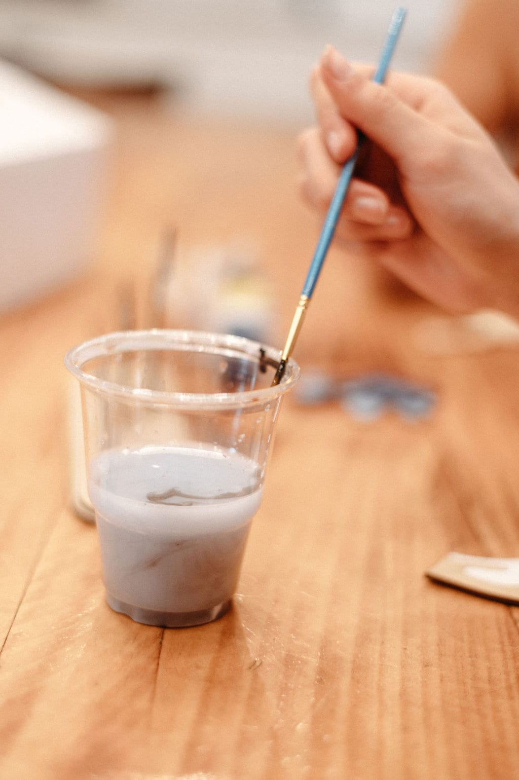 DIY Mini Gnome Garden, Chia Seed Garden