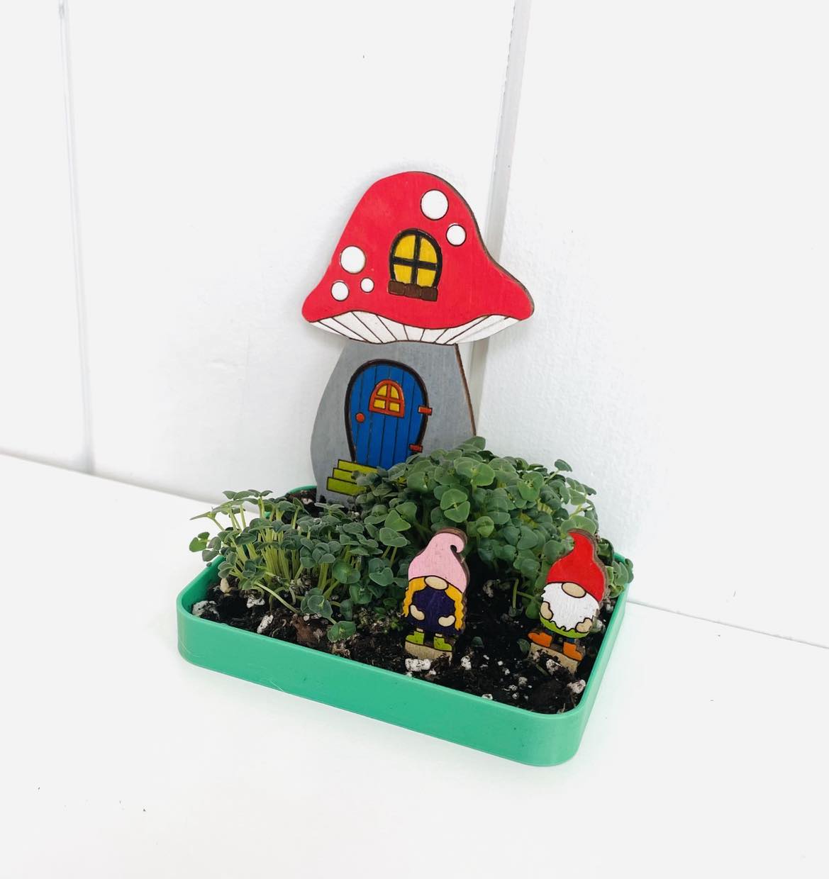 DIY Mini Gnome Garden, Chia Seed Garden
