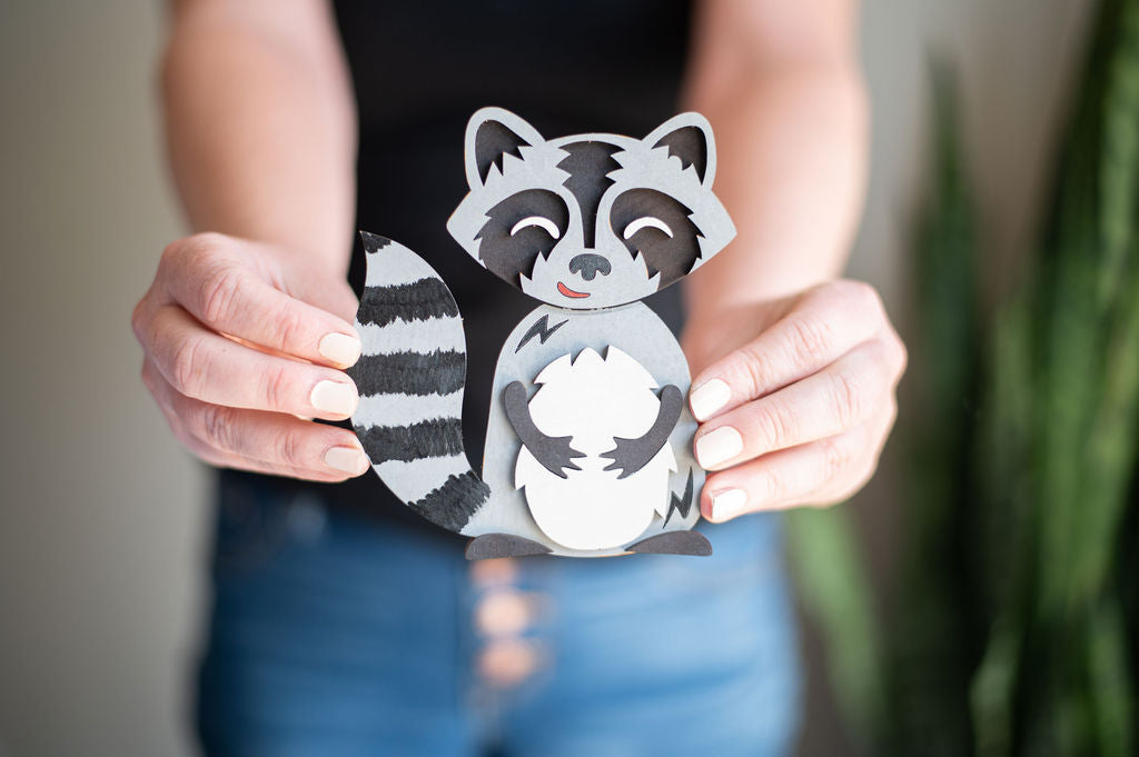 DIY Raccoon Paint Kit