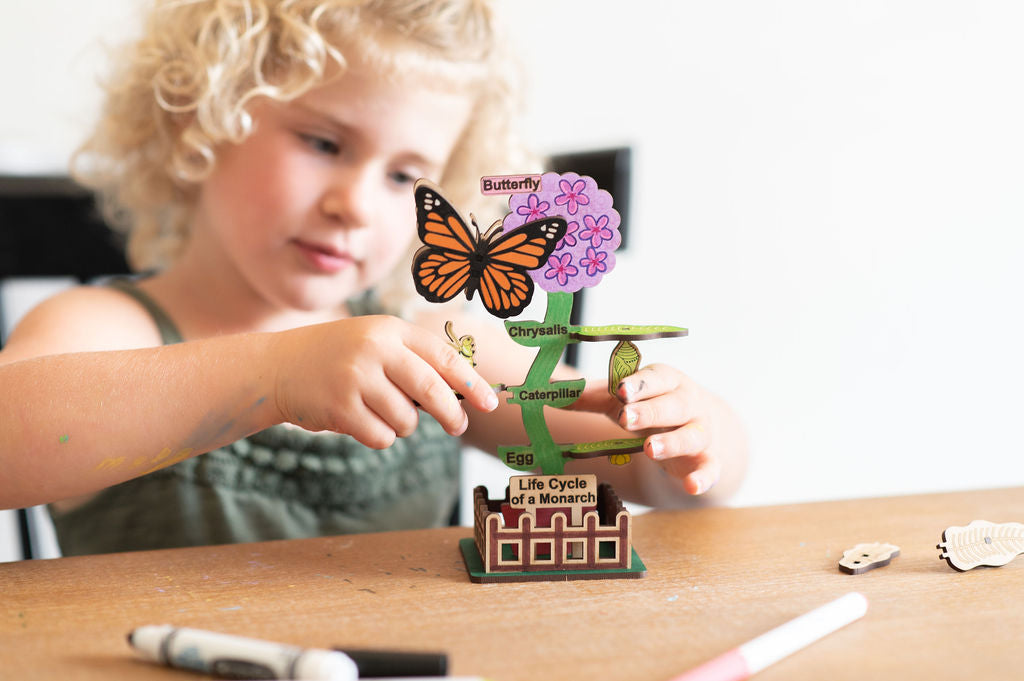 DIY Monarch Butterfly Lifecycle Art and Learn Box