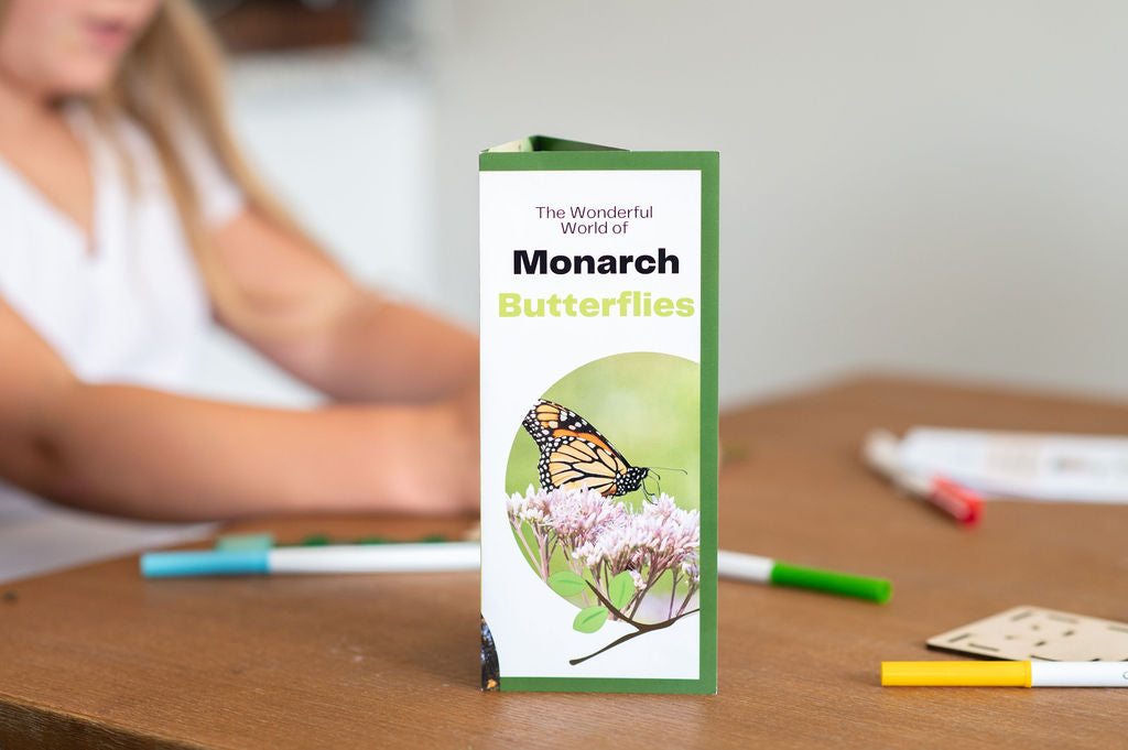 DIY Monarch Butterfly Lifecycle Art and Learn Box