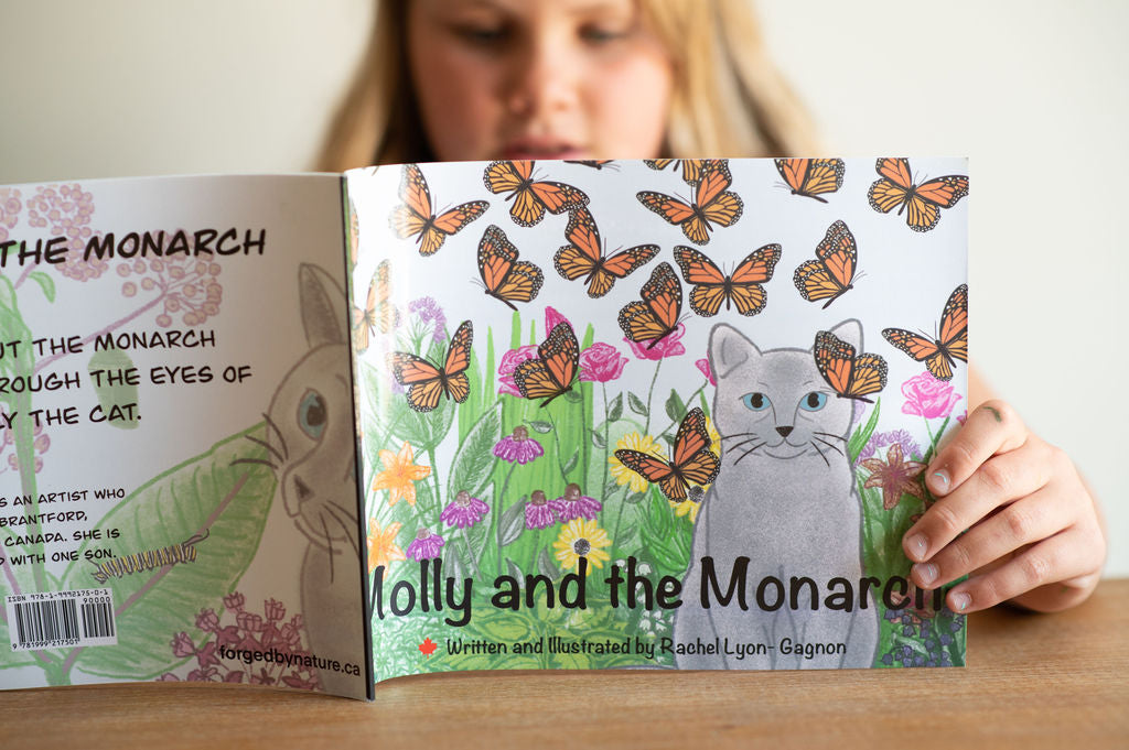 DIY Monarch Butterfly Lifecycle Art and Learn Box