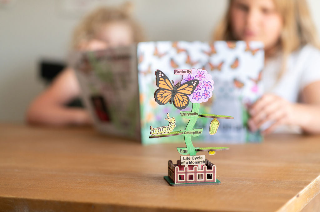 DIY Monarch Butterfly Lifecycle Art and Learn Box