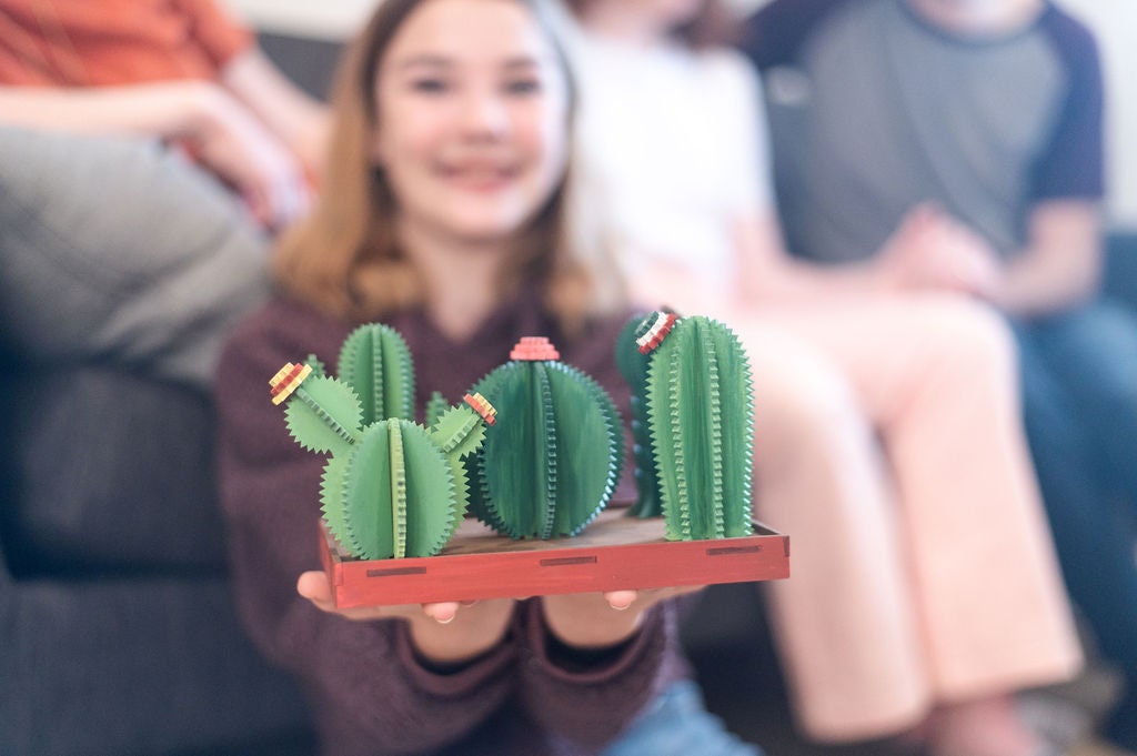 DIY Cactus Garden Kit | 3D DIY Kit | Desert Plant | Make Your Own | Ready to Paint | Art Activity Box | Paint Box | Themed Box | Nature Kit