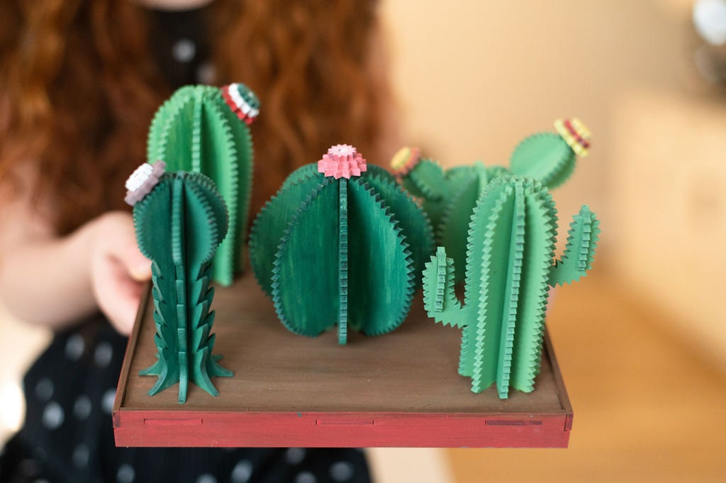 DIY Cactus Garden Kit | 3D DIY Kit | Desert Plant | Make Your Own | Ready to Paint | Art Activity Box | Paint Box | Themed Box | Nature Kit