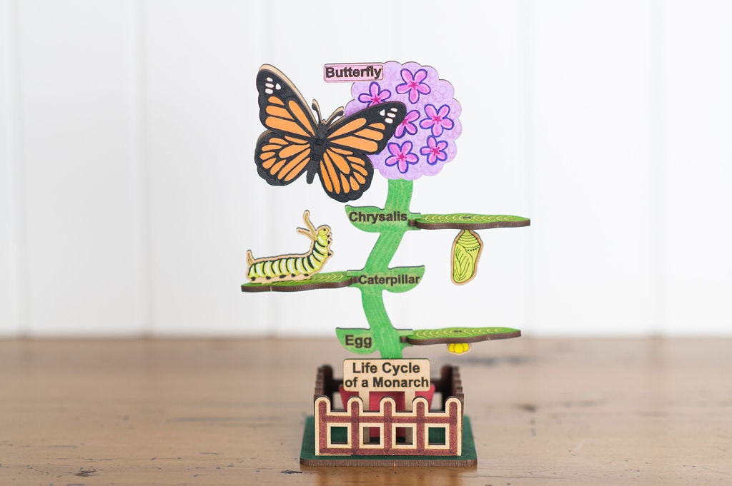 DIY Monarch Butterfly Lifecycle Art and Learn Box