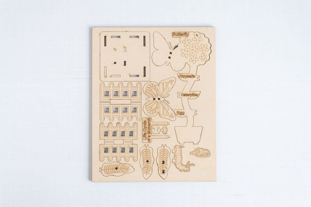 DIY 3D Monarch Butterfly Lifecycle Kit