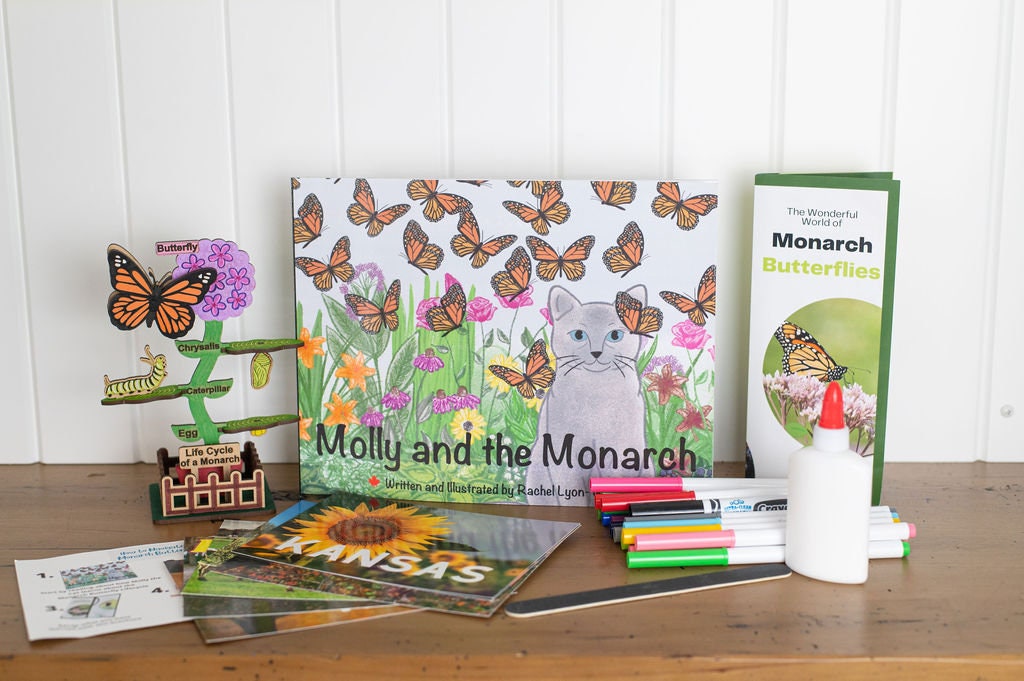 DIY Monarch Butterfly Lifecycle Art and Learn Box