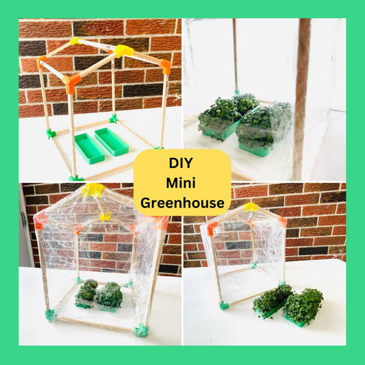DIY Mini Greenhouse Kit, Chia Seed Garden