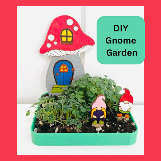 DIY Mini Gnome Garden, Chia Seed Garden